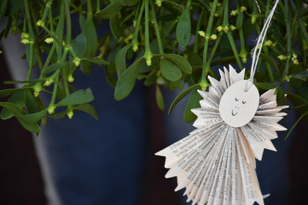 Z lasu do biblioteki - przedświąteczna akcja obdarowywania jemiołą